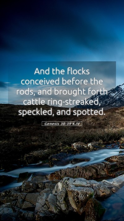 Picture 05 - Genesis 30:39 KJV Mobile Phone Wallpaper - And the flocks conceived before the rods, and - Mobile Bible Verse Wallpaper