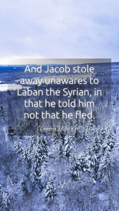 Picture 05 - Genesis 31:20 KJV Mobile Phone Wallpaper - And Jacob stole away unawares to Laban the - Mobile Bible Verse Wallpaper