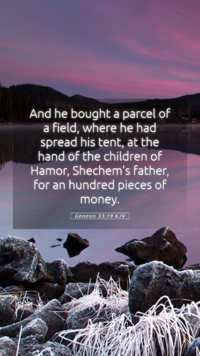 Picture 05 - Genesis 33:19 KJV Mobile Phone Wallpaper - And he bought a parcel of a field, where he had - Mobile Bible Verse Wallpaper