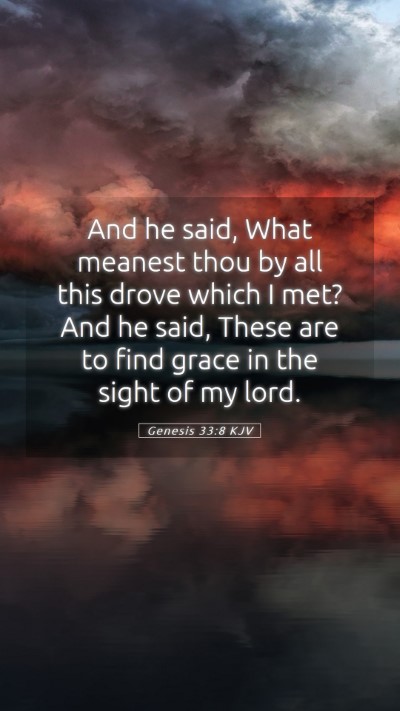 Picture 05 - Genesis 33:8 KJV Mobile Phone Wallpaper - And he said, What meanest thou by all this drove - Mobile Bible Verse Wallpaper