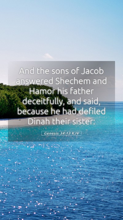 Picture 05 - Genesis 34:13 KJV Mobile Phone Wallpaper - And the sons of Jacob answered Shechem and Hamor - Mobile Bible Verse Wallpaper