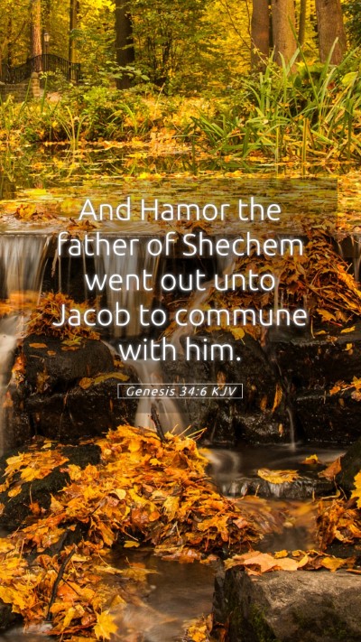 Picture 05 - Genesis 34:6 KJV Mobile Phone Wallpaper - And Hamor the father of Shechem went out unto - Mobile Bible Verse Wallpaper
