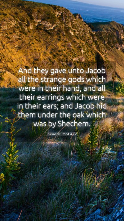 Picture 05 - Genesis 35:4 KJV Mobile Phone Wallpaper - And they gave unto Jacob all the strange gods - Mobile Bible Verse Wallpaper