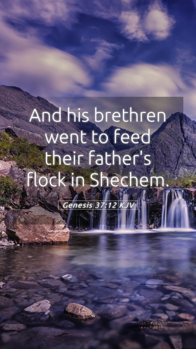 Picture 05 - Genesis 37:12 KJV Mobile Phone Wallpaper - And his brethren went to feed their father's - Mobile Bible Verse Wallpaper