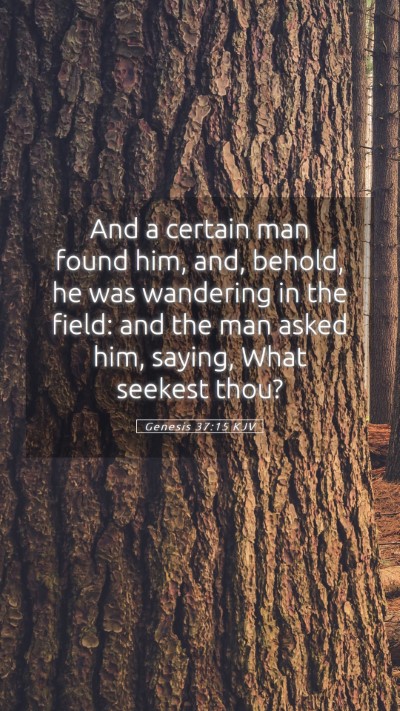 Picture 05 - Genesis 37:15 KJV Mobile Phone Wallpaper - And a certain man found him, and, behold, he was - Mobile Bible Verse Wallpaper