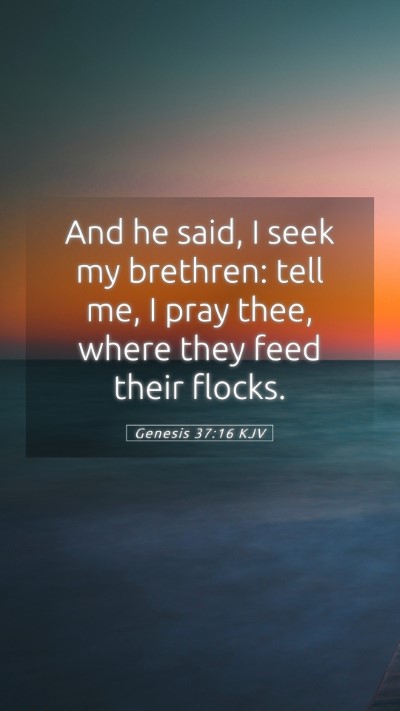 Picture 05 - Genesis 37:16 KJV Mobile Phone Wallpaper - And he said, I seek my brethren: tell me, I pray - Mobile Bible Verse Wallpaper