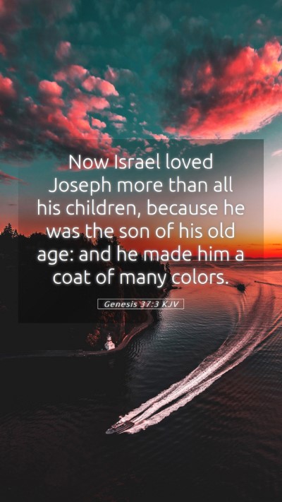 Picture 05 - Genesis 37:3 KJV Mobile Phone Wallpaper - Now Israel loved Joseph more than all his - Mobile Bible Verse Wallpaper