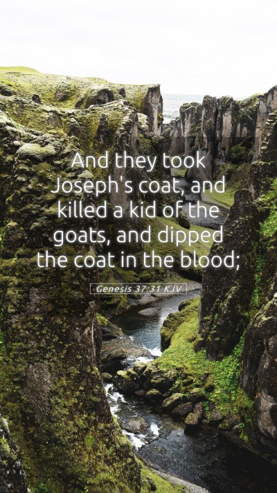 Picture 05 - Genesis 37:31 KJV Mobile Phone Wallpaper - And they took Joseph's coat, and killed a kid of - Mobile Bible Verse Wallpaper