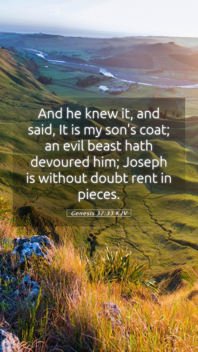 Picture 05 - Genesis 37:33 KJV Mobile Phone Wallpaper - And he knew it, and said, It is my son's coat; an - Mobile Bible Verse Wallpaper