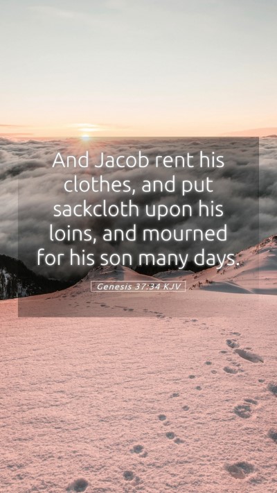 Picture 05 - Genesis 37:34 KJV Mobile Phone Wallpaper - And Jacob rent his clothes, and put sackcloth - Mobile Bible Verse Wallpaper