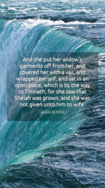 Picture 05 - Genesis 38:14 KJV Mobile Phone Wallpaper - And she put her widow's garments off from her, - Mobile Bible Verse Wallpaper