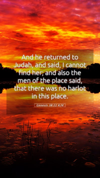 Picture 05 - Genesis 38:22 KJV Mobile Phone Wallpaper - And he returned to Judah, and said, I cannot find - Mobile Bible Verse Wallpaper