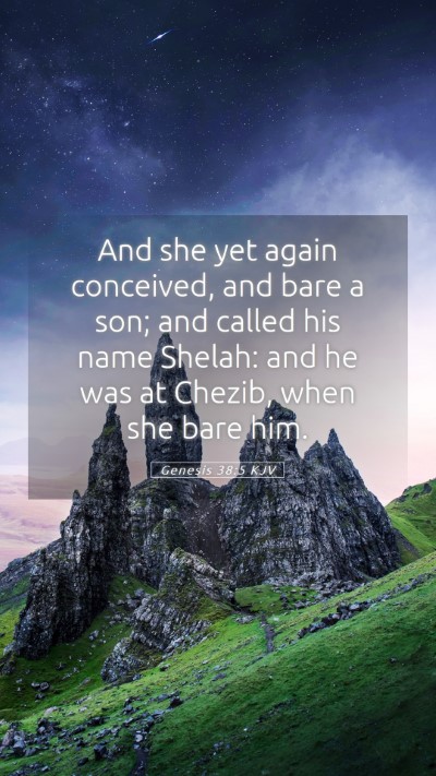 Picture 05 - Genesis 38:5 KJV Mobile Phone Wallpaper - And she yet again conceived, and bare a son; and - Mobile Bible Verse Wallpaper