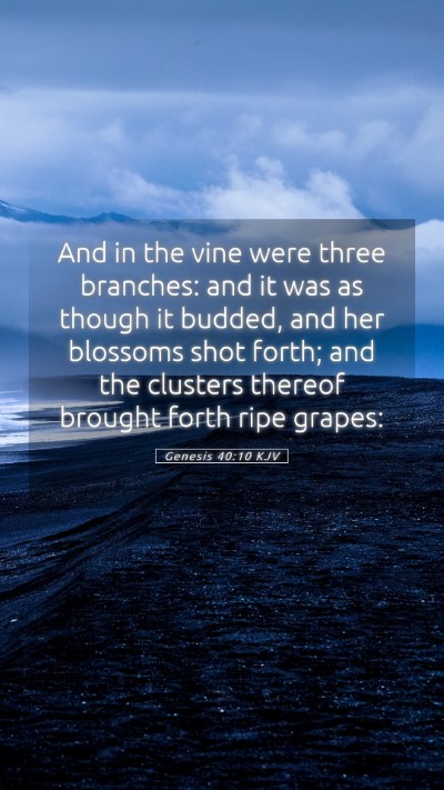 Picture 05 - Genesis 40:10 KJV Mobile Phone Wallpaper - And in the vine were three branches: and it was - Mobile Bible Verse Wallpaper
