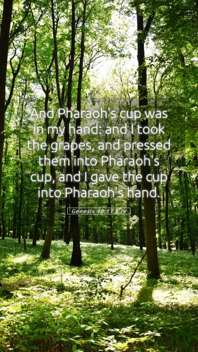 Picture 05 - Genesis 40:11 KJV Mobile Phone Wallpaper - And Pharaoh's cup was in my hand: and I took the - Mobile Bible Verse Wallpaper