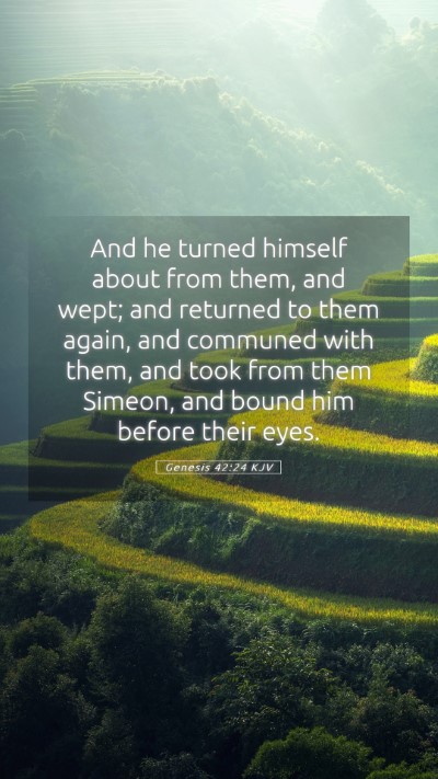 Picture 05 - Genesis 42:24 KJV Mobile Phone Wallpaper - And he turned himself about from them, and wept; - Mobile Bible Verse Wallpaper