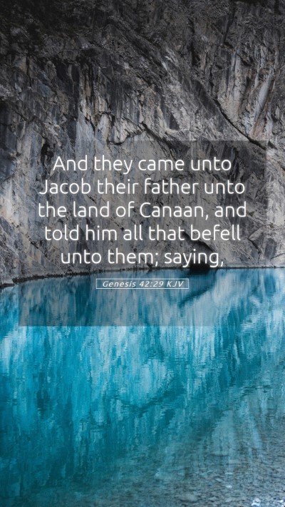 Picture 05 - Genesis 42:29 KJV Mobile Phone Wallpaper - And they came unto Jacob their father unto the - Mobile Bible Verse Wallpaper
