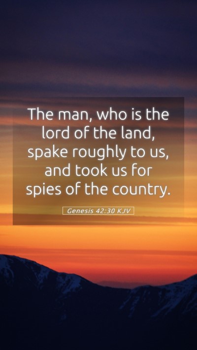 Picture 05 - Genesis 42:30 KJV Mobile Phone Wallpaper - The man, who is the lord of the land, spake - Mobile Bible Verse Wallpaper