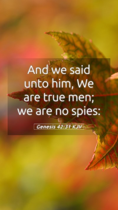 Picture 05 - Genesis 42:31 KJV Mobile Phone Wallpaper - And we said unto him, We are true men; we are no - Mobile Bible Verse Wallpaper