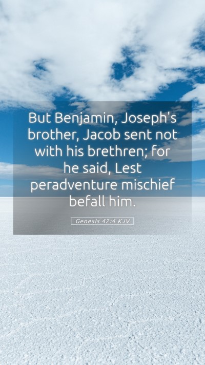 Picture 05 - Genesis 42:4 KJV Mobile Phone Wallpaper - But Benjamin, Joseph's brother, Jacob sent not - Mobile Bible Verse Wallpaper