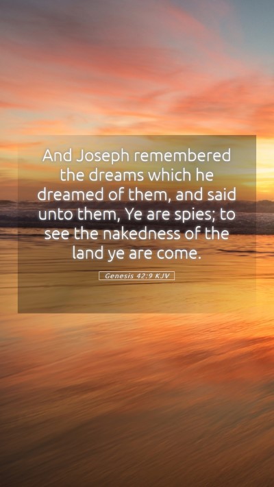 Picture 05 - Genesis 42:9 KJV Mobile Phone Wallpaper - And Joseph remembered the dreams which he dreamed - Mobile Bible Verse Wallpaper