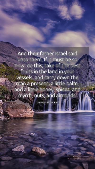 Picture 05 - Genesis 43:11 KJV Mobile Phone Wallpaper - And their father Israel said unto them, If it - Mobile Bible Verse Wallpaper