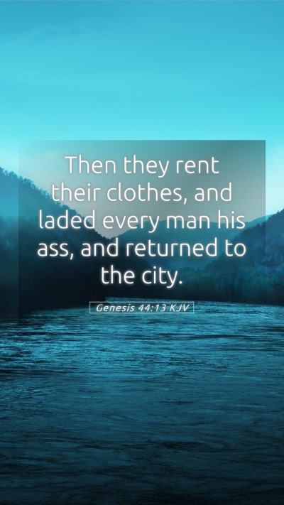 Picture 05 - Genesis 44:13 KJV Mobile Phone Wallpaper - Then they rent their clothes, and laded every man - Mobile Bible Verse Wallpaper