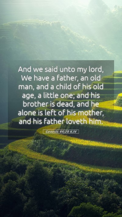 Picture 05 - Genesis 44:20 KJV Mobile Phone Wallpaper - And we said unto my lord, We have a father, an - Mobile Bible Verse Wallpaper