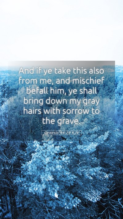 Picture 05 - Genesis 44:29 KJV Mobile Phone Wallpaper - And if ye take this also from me, and mischief - Mobile Bible Verse Wallpaper