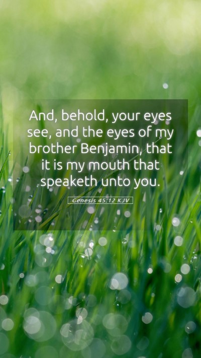 Picture 05 - Genesis 45:12 KJV Mobile Phone Wallpaper - And, behold, your eyes see, and the eyes of my - Mobile Bible Verse Wallpaper