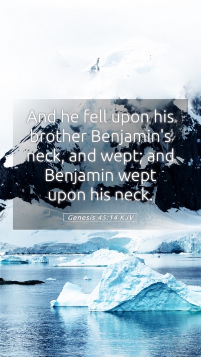 Picture 05 - Genesis 45:14 KJV Mobile Phone Wallpaper - And he fell upon his brother Benjamin's neck, and - Mobile Bible Verse Wallpaper
