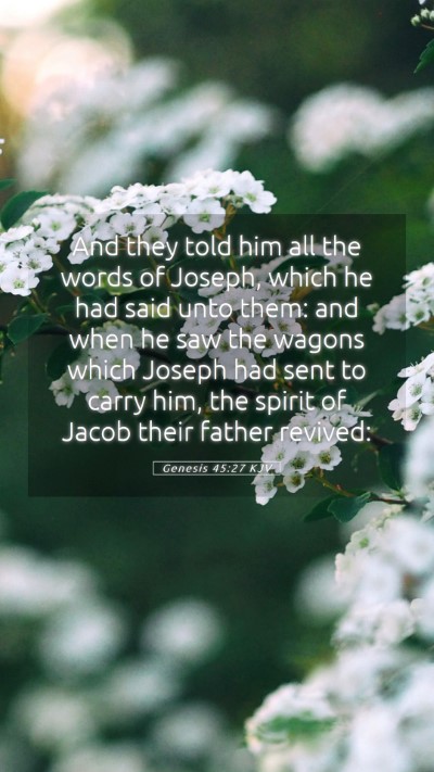 Picture 05 - Genesis 45:27 KJV Mobile Phone Wallpaper - And they told him all the words of Joseph, which - Mobile Bible Verse Wallpaper