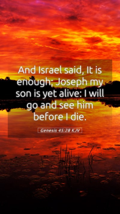 Picture 05 - Genesis 45:28 KJV Mobile Phone Wallpaper - And Israel said, It is enough; Joseph my son is - Mobile Bible Verse Wallpaper