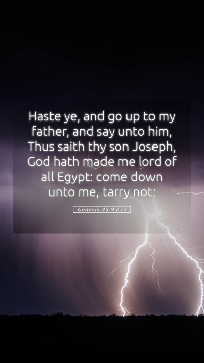 Picture 05 - Genesis 45:9 KJV Mobile Phone Wallpaper - Haste ye, and go up to my father, and say unto - Mobile Bible Verse Wallpaper