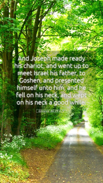 Picture 05 - Genesis 46:29 KJV Mobile Phone Wallpaper - And Joseph made ready his chariot, and went up to - Mobile Bible Verse Wallpaper