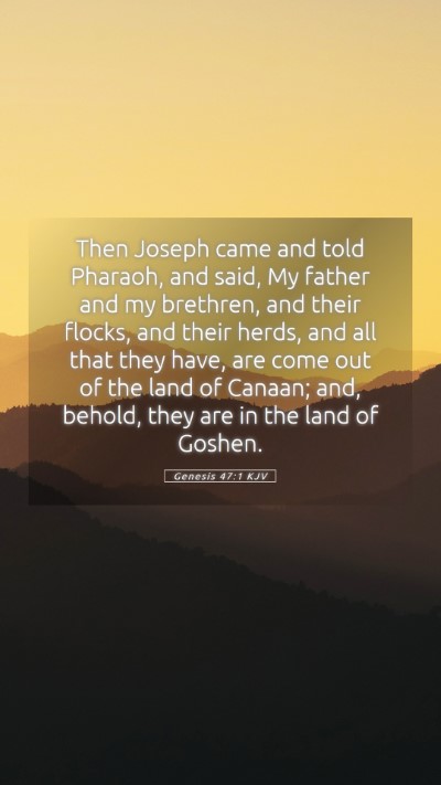 Picture 05 - Genesis 47:1 KJV Mobile Phone Wallpaper - Then Joseph came and told Pharaoh, and said, My - Mobile Bible Verse Wallpaper