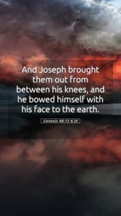 Picture 05 - Genesis 48:12 KJV Mobile Phone Wallpaper - And Joseph brought them out from between his - Mobile Bible Verse Wallpaper