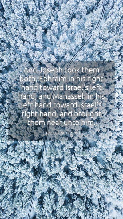 Picture 05 - Genesis 48:13 KJV Mobile Phone Wallpaper - And Joseph took them both, Ephraim in his right - Mobile Bible Verse Wallpaper