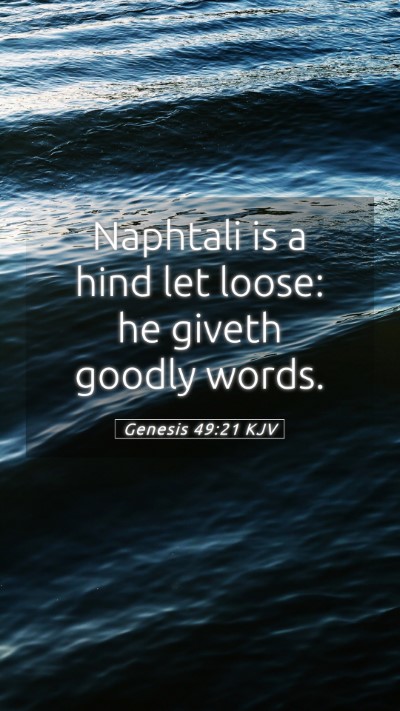 Picture 05 - Genesis 49:21 KJV Mobile Phone Wallpaper - Naphtali is a hind let loose: he giveth goodly - Mobile Bible Verse Wallpaper