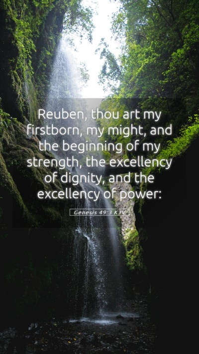 Picture 05 - Genesis 49:3 KJV Mobile Phone Wallpaper - Reuben, thou art my firstborn, my might, and the - Mobile Bible Verse Wallpaper