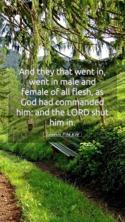 Picture 05 - Genesis 7:16 KJV Mobile Phone Wallpaper - And they that went in, went in male and female of - Mobile Bible Verse Wallpaper