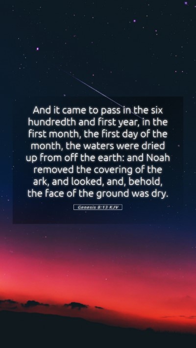 Picture 05 - Genesis 8:13 KJV Mobile Phone Wallpaper - And it came to pass in the six hundredth and - Mobile Bible Verse Wallpaper