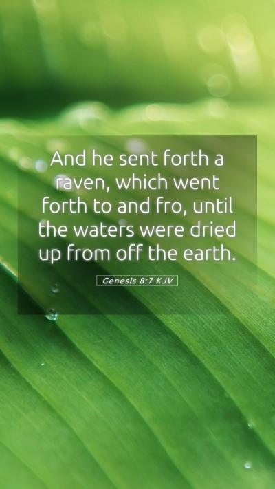 Picture 05 - Genesis 8:7 KJV Mobile Phone Wallpaper - And he sent forth a raven, which went forth to - Mobile Bible Verse Wallpaper