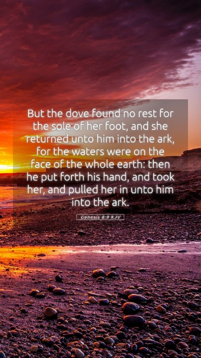 Picture 05 - Genesis 8:9 KJV Mobile Phone Wallpaper - But the dove found no rest for the sole of her - Mobile Bible Verse Wallpaper