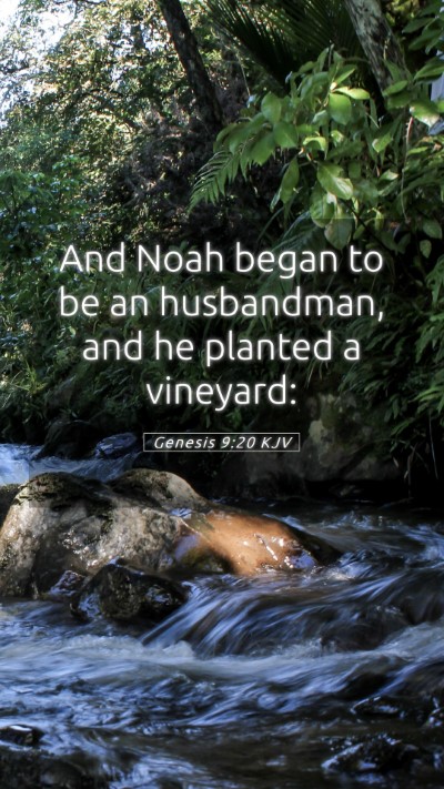 Picture 05 - Genesis 9:20 KJV Mobile Phone Wallpaper - And Noah began to be an husbandman, and he - Mobile Bible Verse Wallpaper