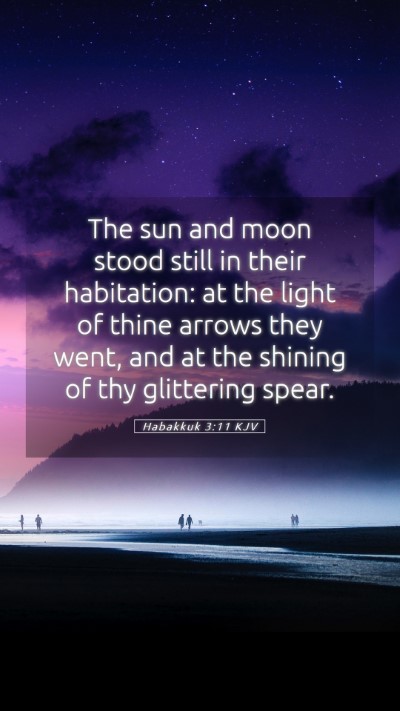 Picture 05 - Habakkuk 3:11 KJV Mobile Phone Wallpaper - The sun and moon stood still in their habitation: - Mobile Bible Verse Wallpaper