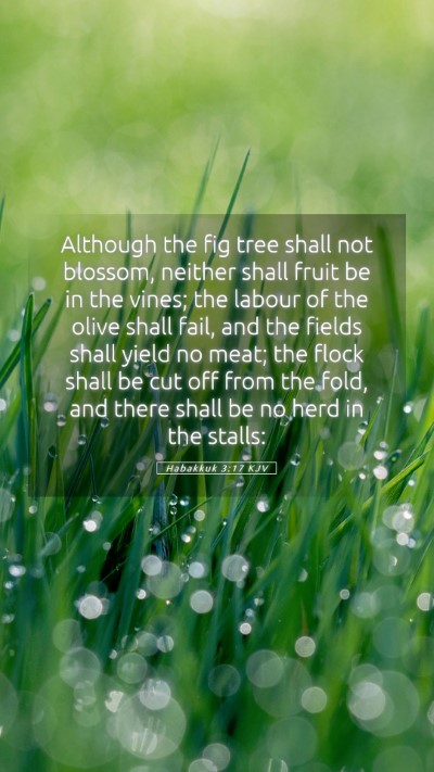 Picture 05 - Habakkuk 3:17 KJV Mobile Phone Wallpaper - Although the fig tree shall not blossom, neither - Mobile Bible Verse Wallpaper