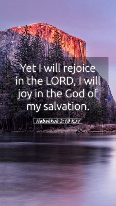 Picture 05 - Habakkuk 3:18 KJV Mobile Phone Wallpaper - Yet I will rejoice in the LORD, I will joy in the - Mobile Bible Verse Wallpaper