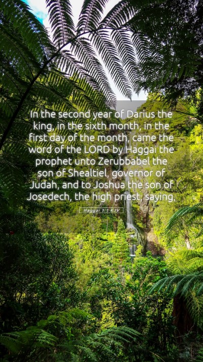 Picture 05 - Haggai 1:1 KJV Mobile Phone Wallpaper - In the second year of Darius the king, in the - Mobile Bible Verse Wallpaper