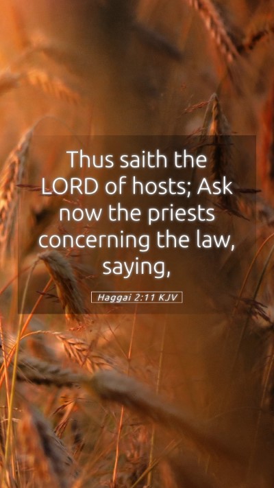 Picture 05 - Haggai 2:11 KJV Mobile Phone Wallpaper - Thus saith the LORD of hosts; Ask now the priests - Mobile Bible Verse Wallpaper